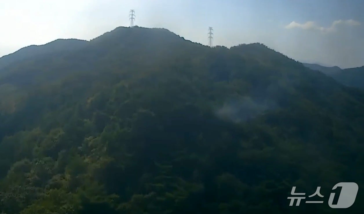 16일 오전 8시 48분쯤 경남 창원시 마산합포구 예곡동 한 야산에서 불이 났다. 사진은 화재 현장 모습(산림청 제공. 재판매 및 DB 금지)