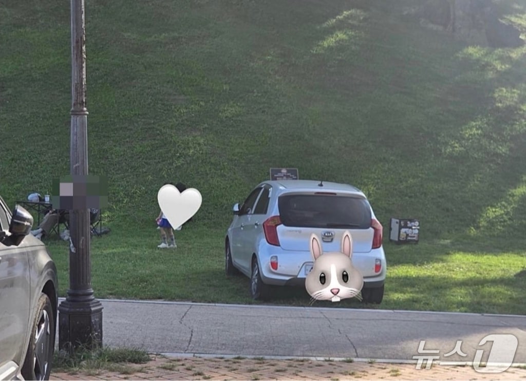 지난 13일 인터넷 커뮤니티 보배드림에 경주 봉황대 잔디받에 주차한 차량의 사진이 공개됐다.(보배드림 게시판 캡쳐)2026.9.19/뉴스1