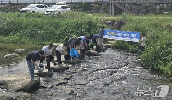 장수군은 전날 번암면·장계면·천천면 일대 하천에 어린 다슬기 90만 패를 방류했다고 2일 밝혔다.(장수군 제공, 재판매 및 DB금지)2026.9.2/뉴스1
