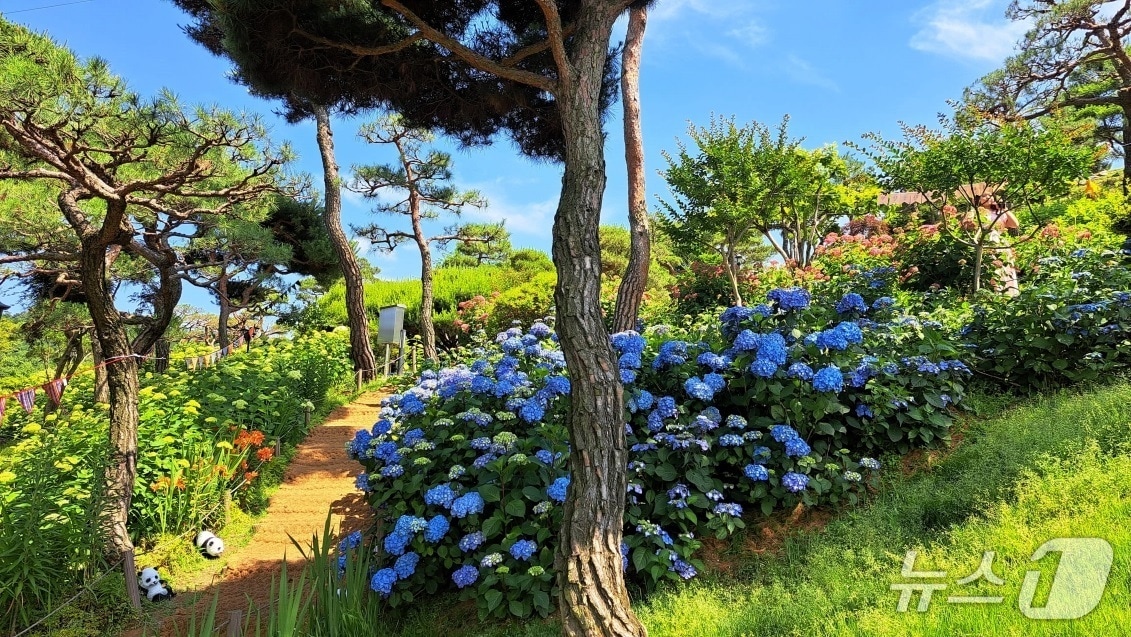 충청북도 청주시 공간정원. (산림청 제공. 재판매 및 DB 금지) /뉴스1