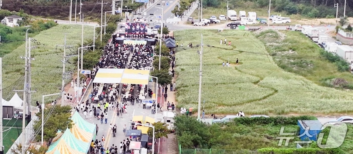 칠곡 석적읍 승격 20주년 행사 모습.(칠곡군 제공. 재판매 및 DB 금지)/뉴스1