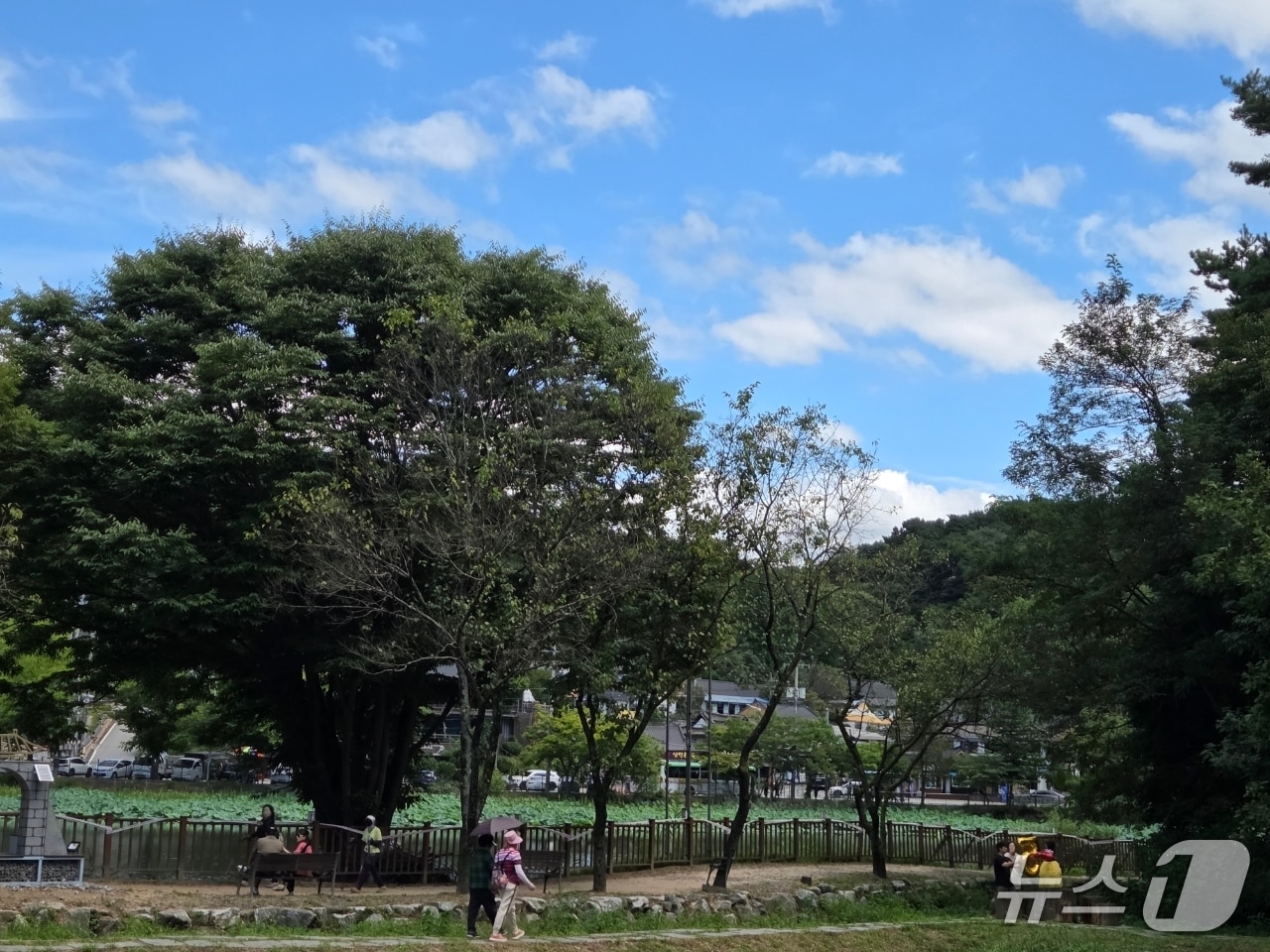 충북 청주시 상당구에 위치한 상당산성을 찾은 나들이객들이 청명한 가을 하늘아래 산책길을 거닐고 있다. 2026.9.20/뉴스1 장인수 기자