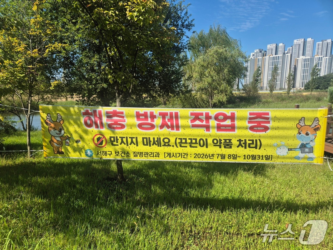 끈끈이 현수막(인천 서해구 제공.재판매 및 DB금지)2026.09.22/뉴스1