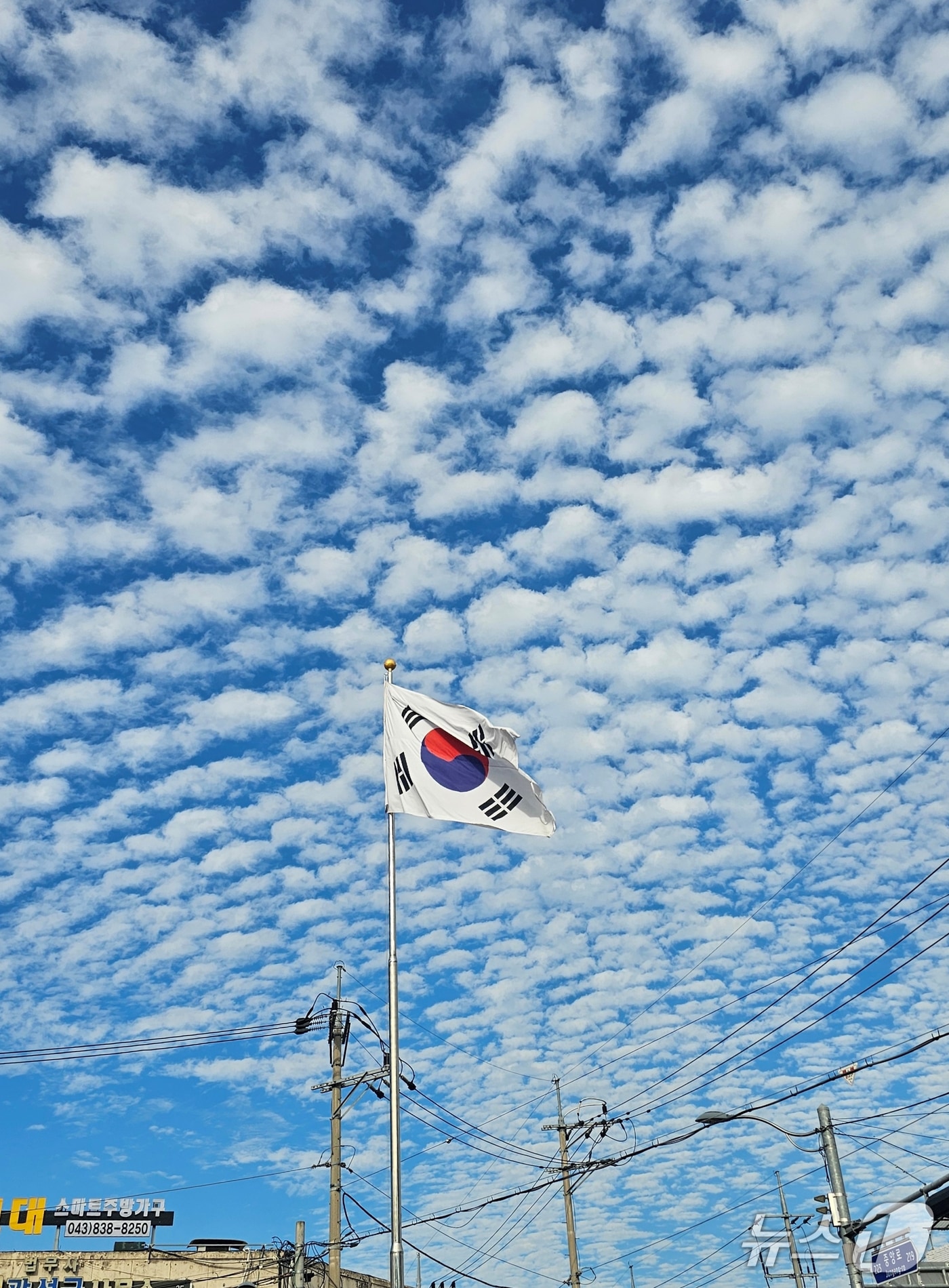 파란 가을 하늘을 배경으로 나부끼는  태극기.(자료사진)/뉴스1