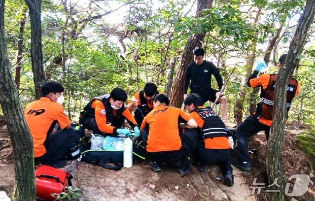 27일 오전 10시 12분께 익산 금마면 미륵산에서 직장동료와 함께 등산을 하던 A 씨(30)가 머리 부위를 벌에 쏘이는 사고를 당했다.(전북소방본부 제공, 재판매 및 DB 금지).