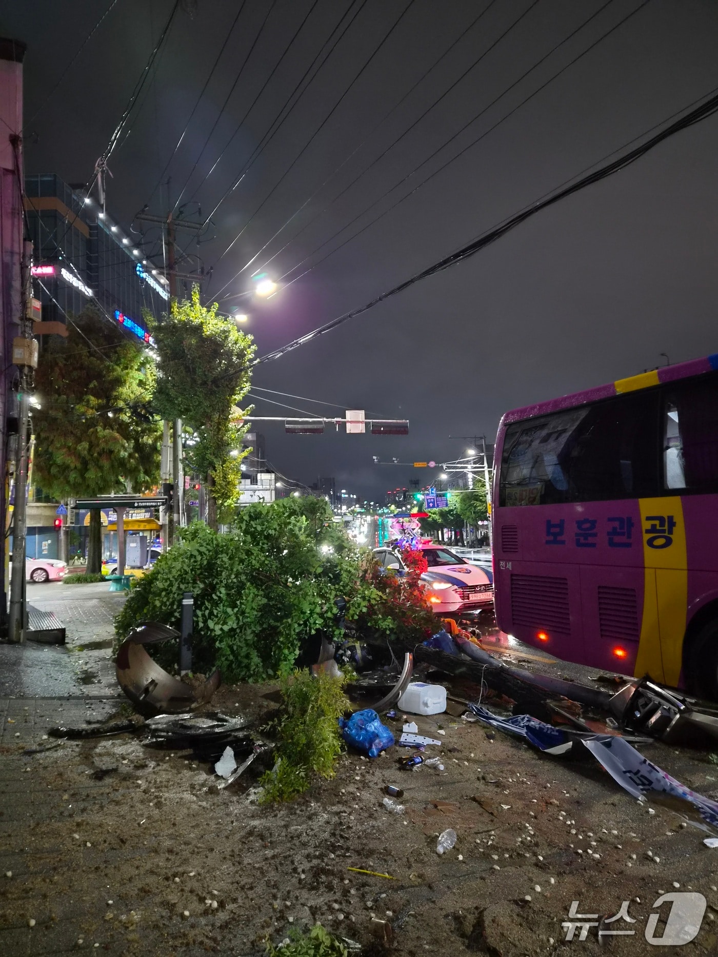 27일 오후 8시 31분쯤 전남광주 동구 산수동 한 도로에서 차량이 가로수를 들이받아 소방당국이 안전조치를 취하고 있다.(전남광주통합소방본부 제공. 재판매 및 DB 금지)