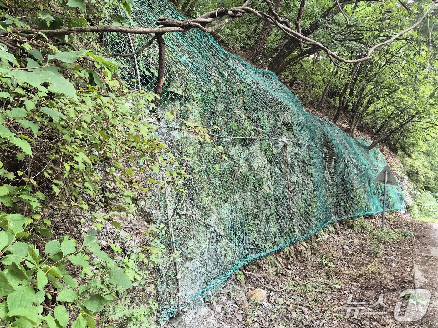 앞산공원 낙석 방지책 설치. (대구시 제공. 재판매 및 DB 금지)/뉴스1