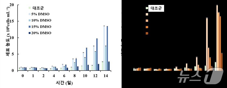 국립낙동강생물자원관은 29일 담수 미세조류인 테트라데스무스속 2종의 동결보존에 적합한 조건을 확인했다.사진은 테트라데스무스 다이모퍼스(T. dimorphus) 동결보호제 종류·농도별 해동 후 세포 농도 (국립낙동강생물자원관 제공. 재판매 및 DB 금지) /뉴스1