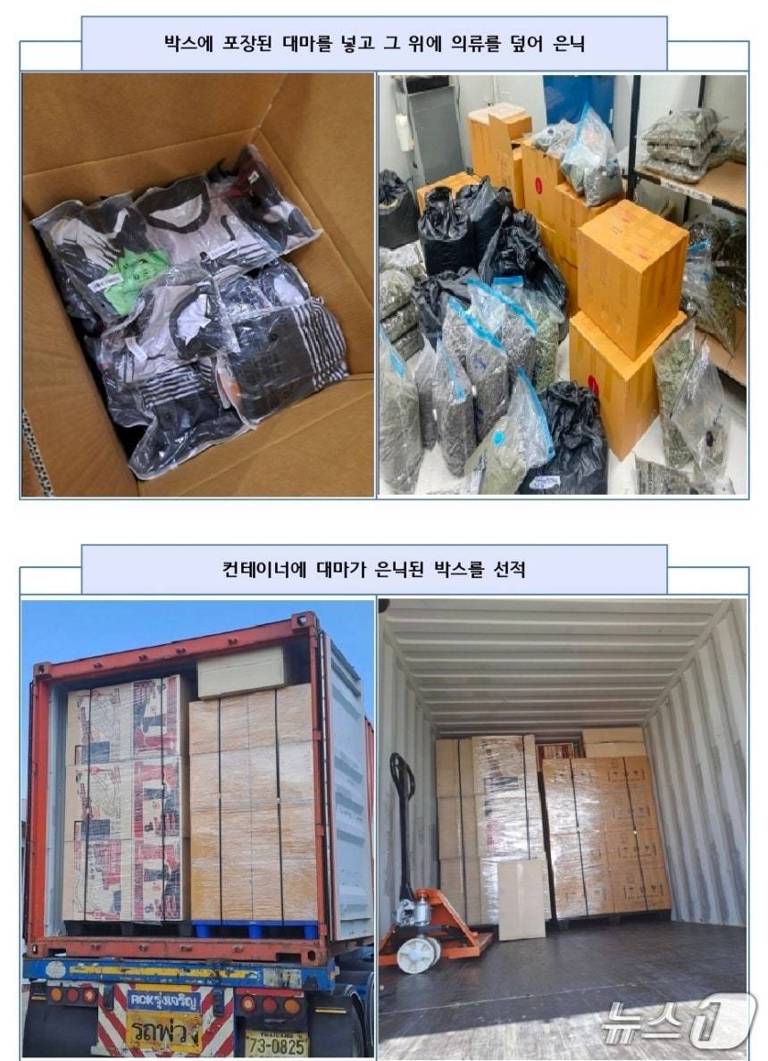 밀수된 대마. (마약합수본 제공. 재판매 및 DB금지)