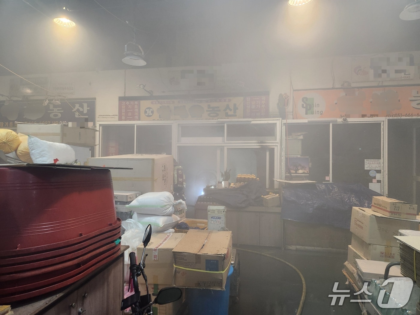 화재가 발생한 부산 해운대구 반여농산물도매시장 내 점포.(부산소방재난본부 제공. 재판매 및 DB금지)