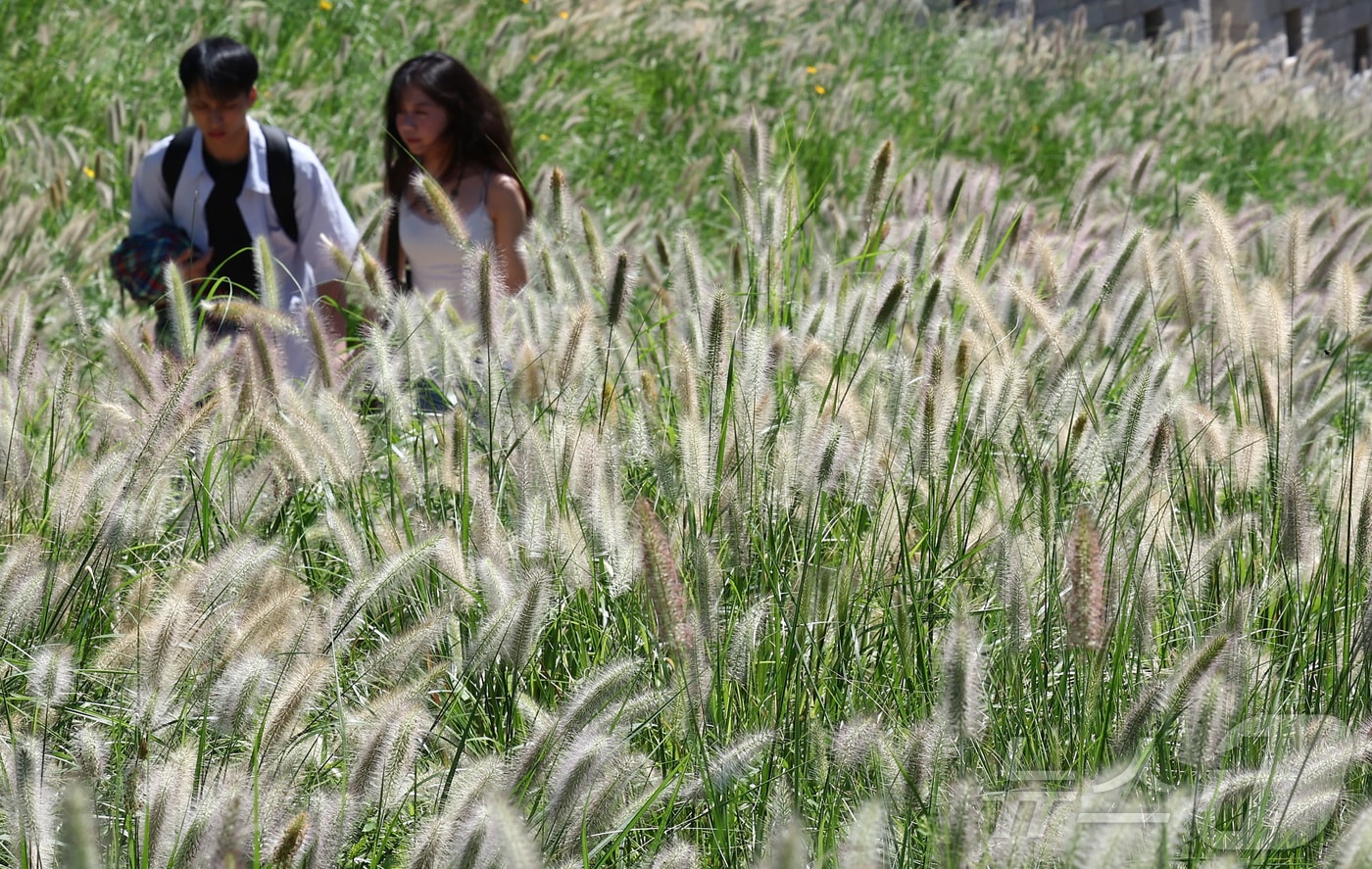 산책하는 시민들./뉴스1