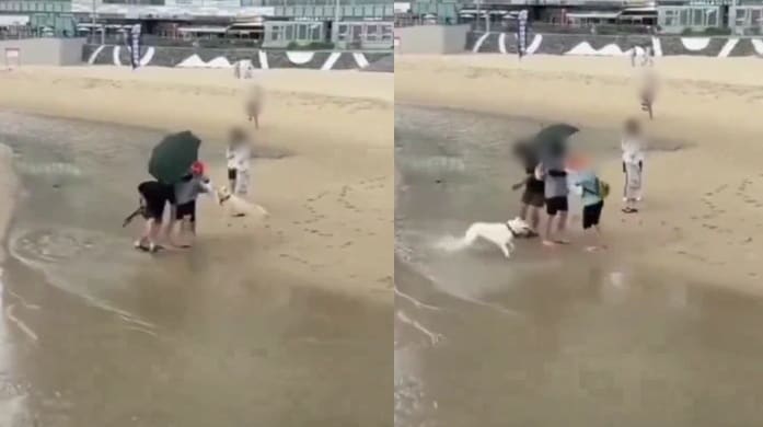 온라인 커뮤니티 갈무리