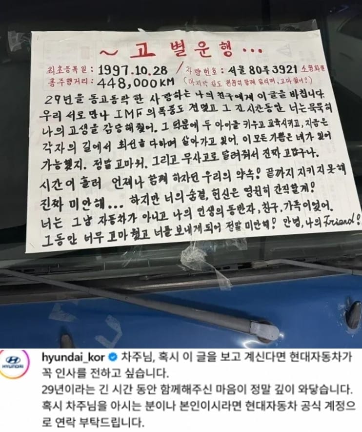 보배드림