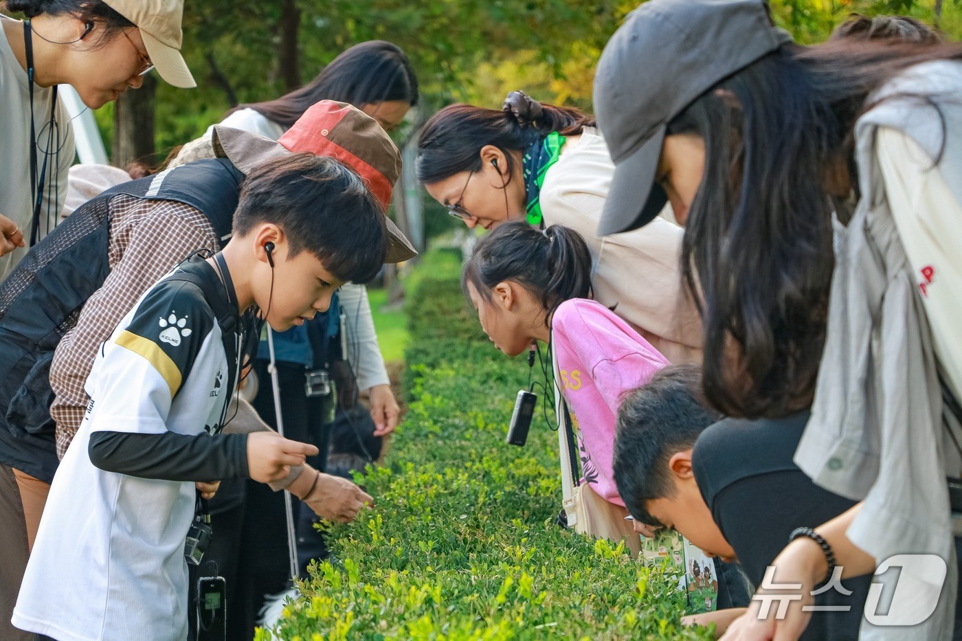 '생태전문가와 함께하는 달서생태탐험' 참여자들이 식물을 관찰하고 있. (대구 달서구 제공. 재판매 및 DB 금지)/뉴스1